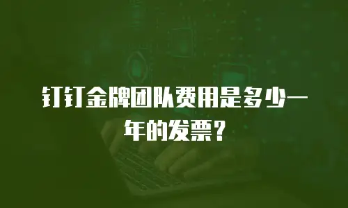 钉钉金牌团队费用是多少一年的发票？