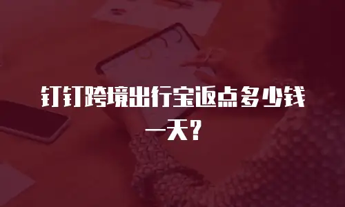 钉钉跨境出行宝返点多少钱一天？