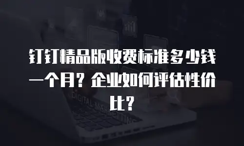 钉钉精品版收费标准多少钱一个月？企业如何评估性价比？