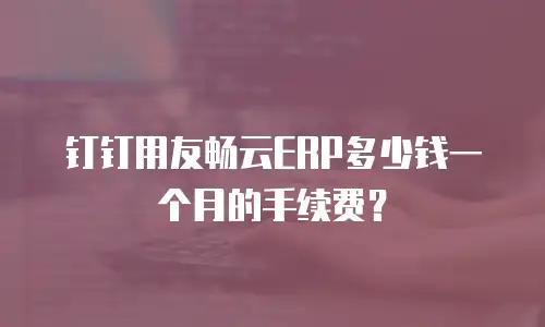 钉钉用友畅云ERP多少钱一个月的手续费？