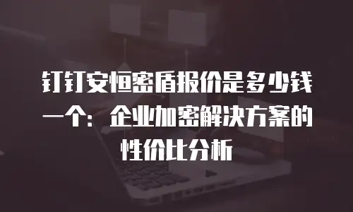 钉钉安恒密盾报价是多少钱一个：企业加密解决方案的性价比分析