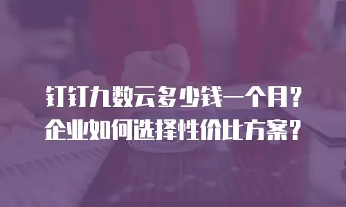 钉钉九数云多少钱一个月？企业如何选择性价比方案？