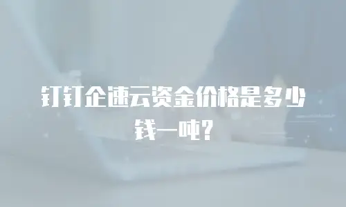 钉钉企速云资金价格是多少钱一吨？