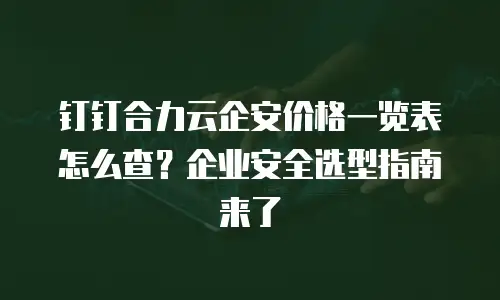 钉钉合力云企安价格一览表怎么查？企业安全选型指南来了