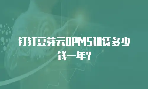钉钉豆芽云DPMS租赁多少钱一年？