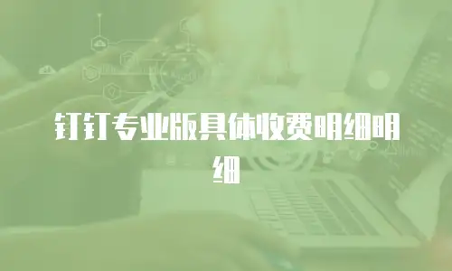 钉钉专业版具体收费明细明细