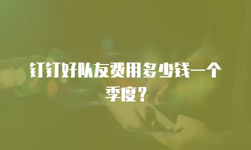 钉钉好队友费用多少钱一个季度？