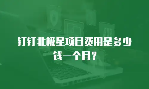 钉钉北极星项目费用是多少钱一个月？