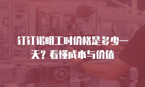 钉钉诺明工时价格是多少一天？看懂成本与价值