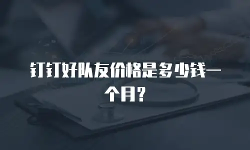 钉钉好队友价格是多少钱一个月？