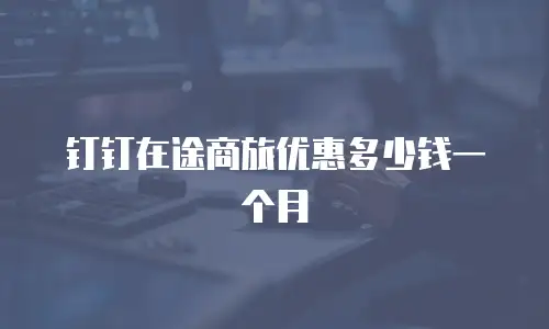 钉钉在途商旅优惠多少钱一个月