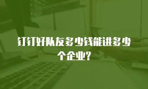 钉钉好队友多少钱能进多少个企业？