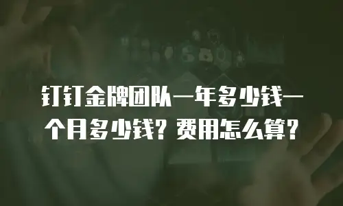 钉钉金牌团队一年多少钱一个月多少钱？费用怎么算？
