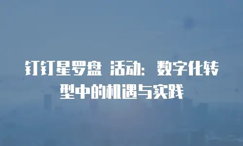 钉钉星罗盘 活动：数字化转型中的机遇与实践