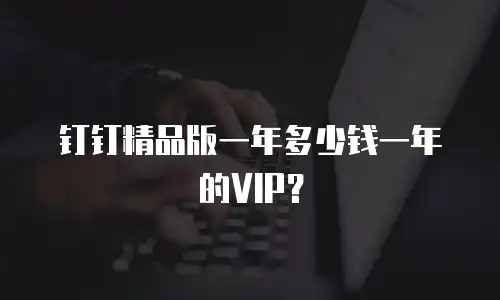 钉钉精品版一年多少钱一年的VIP？