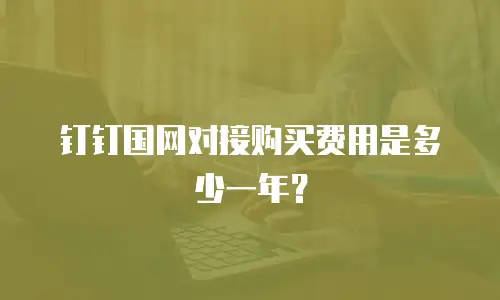 钉钉国网对接购买费用是多少一年？