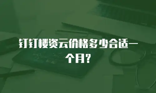 钉钉楼资云价格多少合适一个月？