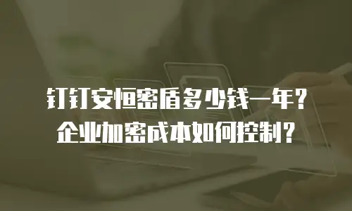 钉钉安恒密盾多少钱一年？企业加密成本如何控制？