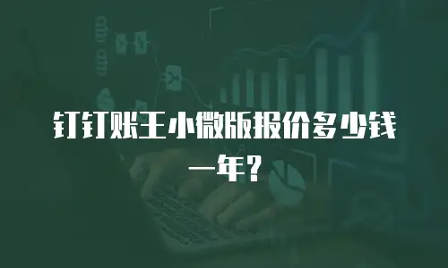 钉钉账王小微版报价多少钱一年？