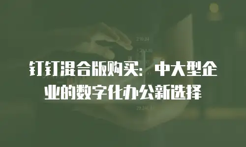 钉钉混合版购买：中大型企业的数字化办公新选择