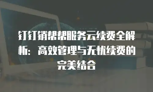 钉钉销帮帮服务云续费全解析：高效管理与无忧续费的完美结合