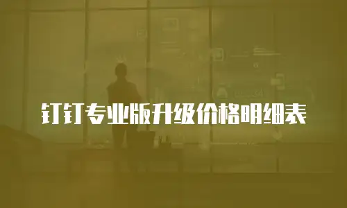 钉钉专业版升级价格明细表
