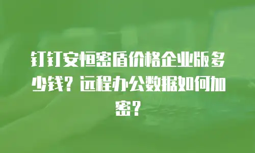 钉钉安恒密盾价格企业版多少钱？远程办公数据如何加密？