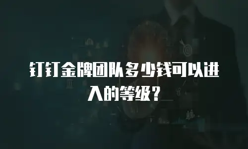 钉钉金牌团队多少钱可以进入的等级？
