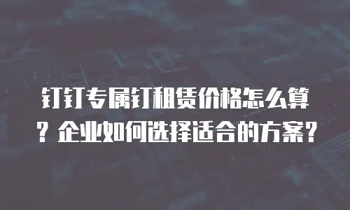 钉钉专属钉租赁价格怎么算？企业如何选择适合的方案？