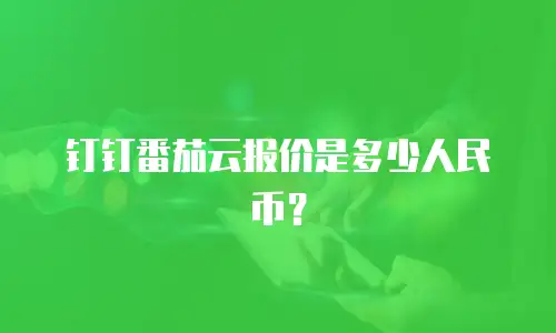 钉钉番茄云报价是多少人民币？