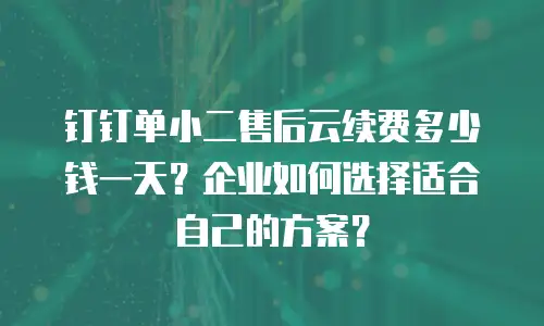 钉钉单小二售后云续费多少钱一天？企业如何选择适合自己的方案？