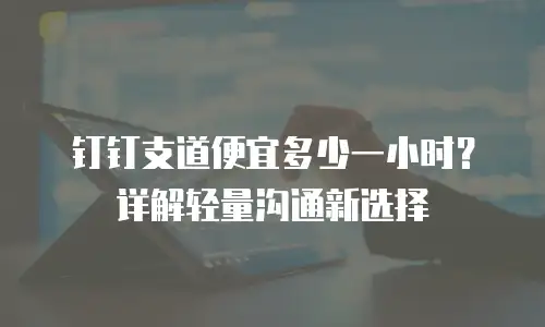 钉钉支道便宜多少一小时？详解轻量沟通新选择