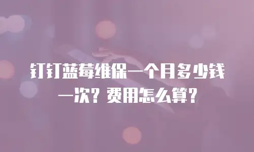 钉钉蓝莓维保一个月多少钱一次？费用怎么算？