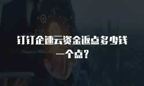 钉钉企速云资金返点多少钱一个点？