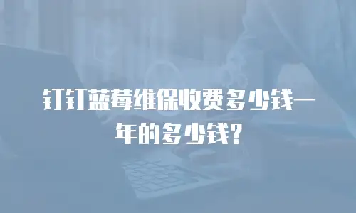钉钉蓝莓维保收费多少钱一年的多少钱？
