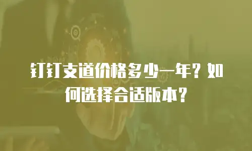 钉钉支道价格多少一年？如何选择合适版本？