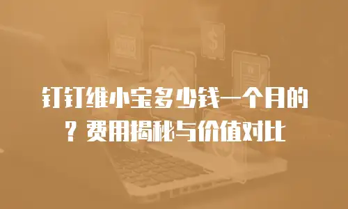 钉钉维小宝多少钱一个月的？费用揭秘与价值对比