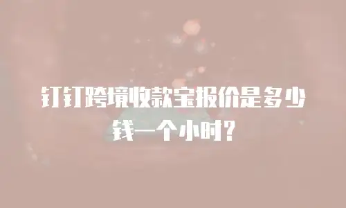 钉钉跨境收款宝报价是多少钱一个小时？