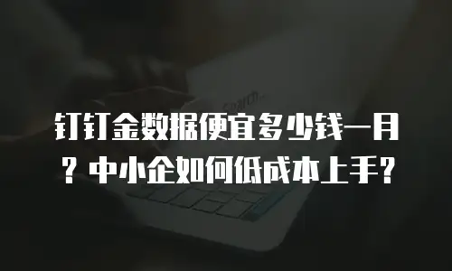 钉钉金数据便宜多少钱一月？中小企如何低成本上手？