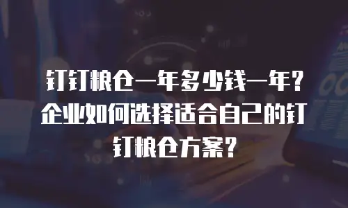 钉钉粮仓一年多少钱一年？企业如何选择适合自己的钉钉粮仓方案？