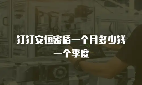 钉钉安恒密盾一个月多少钱一个季度
