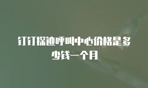 钉钉探迹呼叫中心价格是多少钱一个月