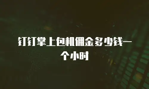 钉钉掌上包机佣金多少钱一个小时