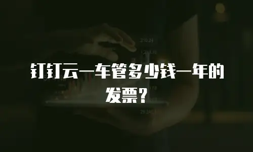 钉钉云一车管多少钱一年的发票？
