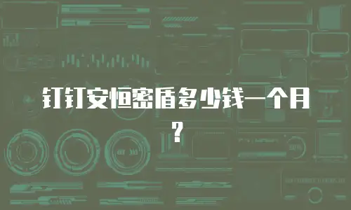 钉钉安恒密盾多少钱一个月？