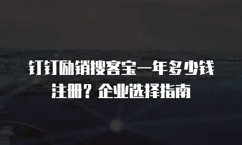钉钉励销搜客宝一年多少钱注册？企业选择指南