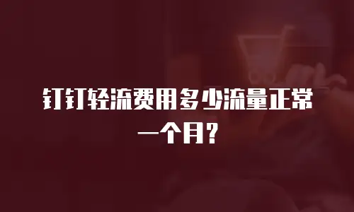 钉钉轻流费用多少流量正常一个月？