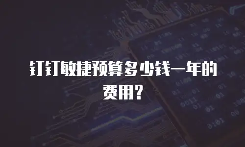 钉钉敏捷预算多少钱一年的费用？