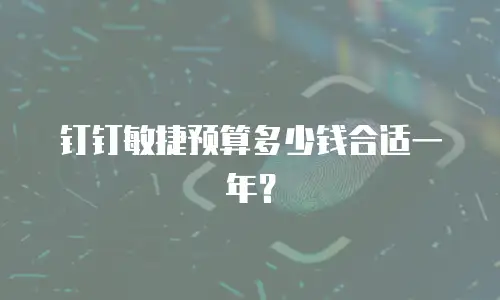 钉钉敏捷预算多少钱合适一年？