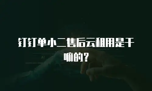 钉钉单小二售后云租用是干嘛的？